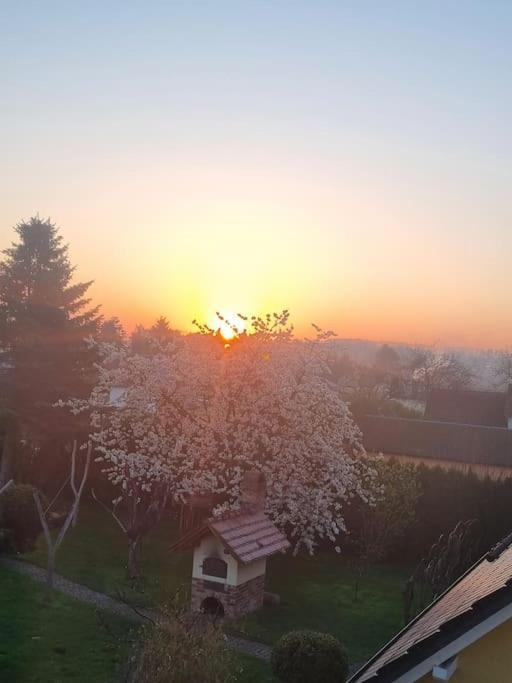 Ferienwohnung *Zur Weinbergstrasse* Lauta Esterno foto