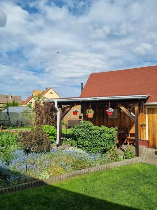 Ferienwohnung *Zur Weinbergstrasse* Lauta Esterno foto