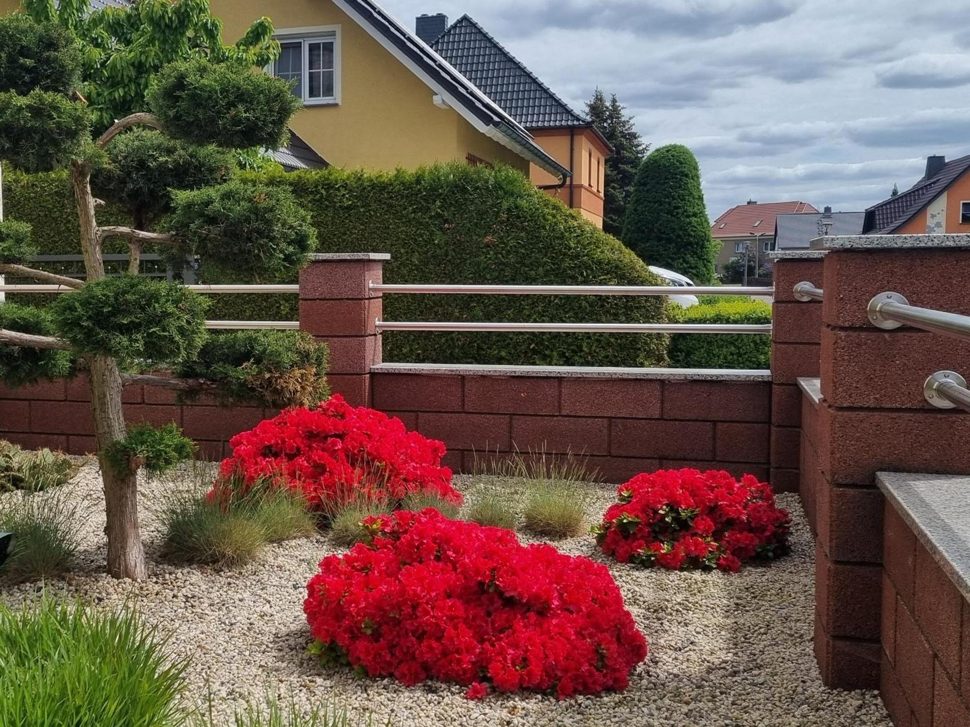 Ferienwohnung *Zur Weinbergstrasse* Lauta Esterno foto